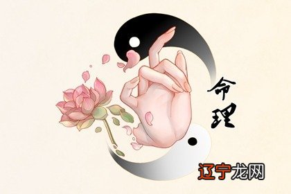 石榴木命和大林木命哪个好各有千秋