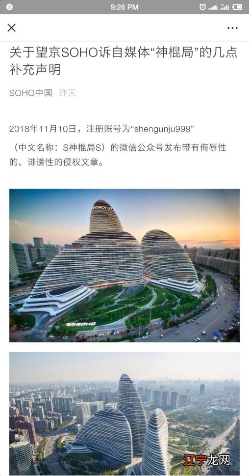 潘石屹:“官司输定了”自媒体“神棍局”倒是引发网友同情