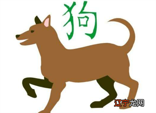 2018年属狗是什么命?的人2018命运有什么特点