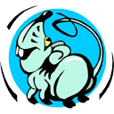 属鼠的最佳配偶