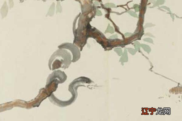 风水堂:属猴的和什么属相