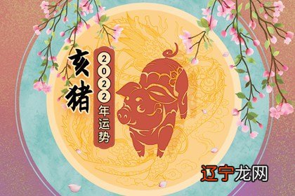 48岁属猪的命运怎样出，一生先苦后甜大财运