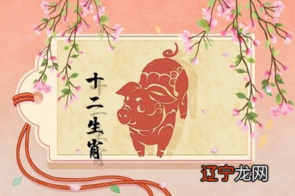 48岁属猪的命运怎样出，一生先苦后甜大财运