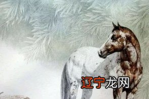 12生肖命最不好的生肖,你是哪一种?