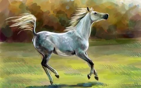 12生肖命最不好的生肖,你是哪一种?