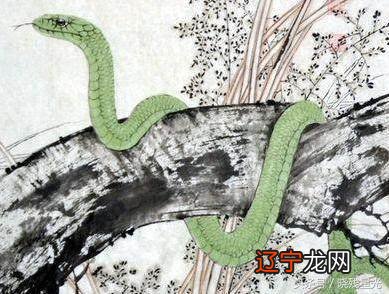 属蛇的和什么属相最配生肖给人不好的印象