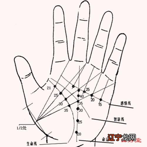 五行算命五行查询五行缺什么查询命，非常运势免费算命环肥燕瘦