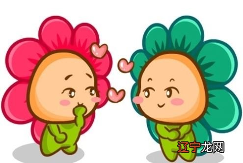 傻大方摘要_明年12星座都会遇到哪种桃花对象