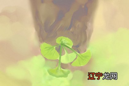 本期风水:如何判断房子的风水和朝向?人房屋朝向