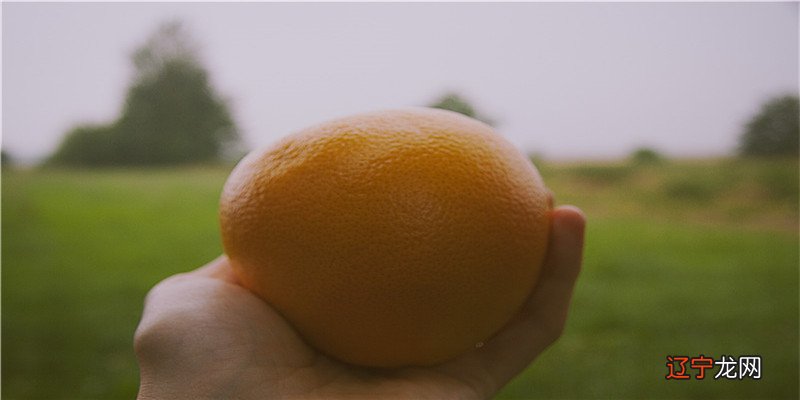 专治各种不服的风象星座，容不得别人质疑挑衅，谁都要让三分