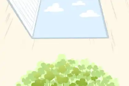 中华易经协会会长是谁中国易经协2113会,你知道吗?