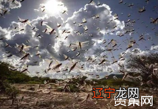 【李向东】紫微斗数命盘中迁移宫的风水作用及对策