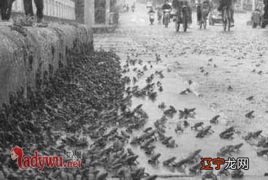 【李向东】紫微斗数命盘中迁移宫的风水作用及对策