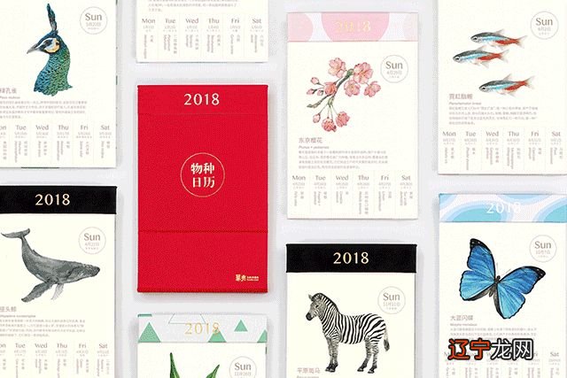 属兔人2022年财运事业运程及破解方法