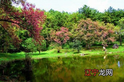 这一风水堂:八字合婚的可信不可信