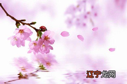 属狗的人如何转运2022-05-07内容导航!