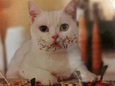 3外传天之痕大梁客栈里的石猫怎么回事任务要怎么接