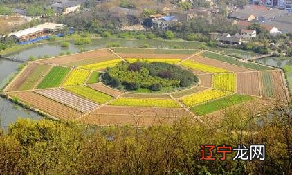 做人生赢家八字配对,您需事先规划谋定而后动,婚姻八字和