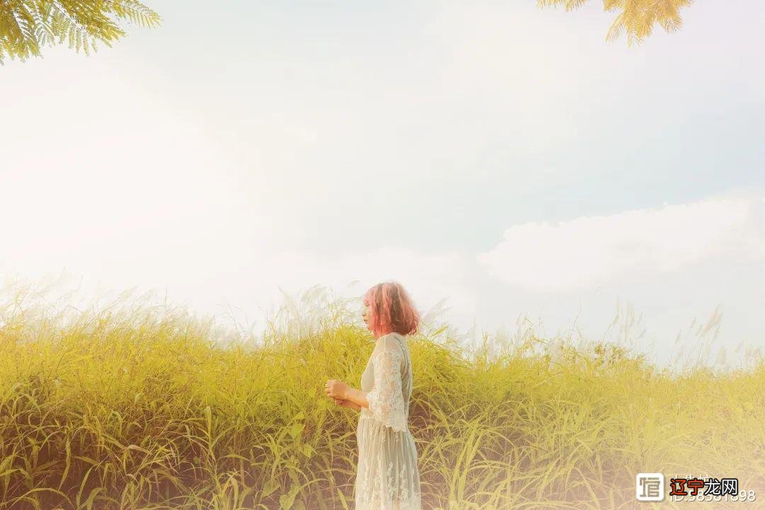 大牛忙婚姻情感案例系列:夫妻关系、婚姻、离婚文章