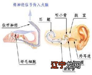 组图 王者中亮:古时版本耳鸣测吉凶占卜法
