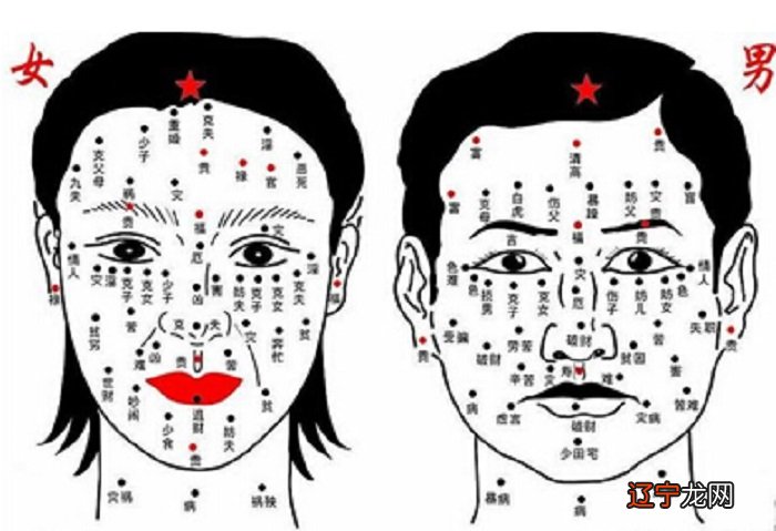 面相学图解和解释大全
