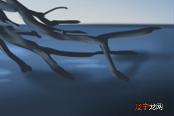 李计忠老师的周易相学入门这书挺好的,推荐你看