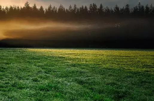 6、有草有水的牛宝名字:牛男孩草字头和三点水吉利的名字？