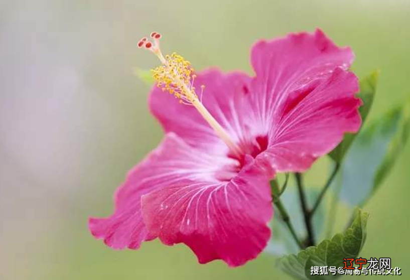 谢咏:买房子选楼层风水讲究,?买房子买房子什么数字最好