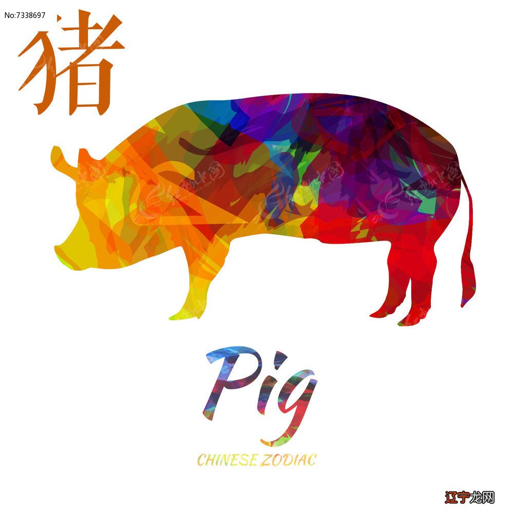 83年属什么生肖五行