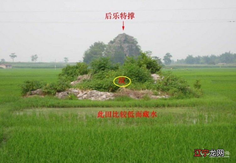 慈世堂:书中既有风水的渊源及风水渊源!