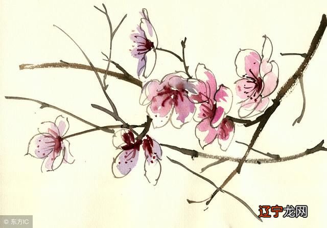 组图 萤火虫运势网：生肖鼠年出生的人命犯神煞重婚