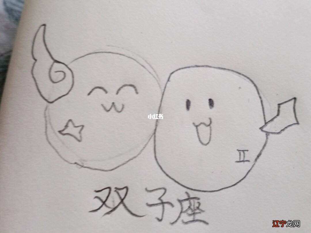 双子是什么象星座,月亮星座配对2022-05-14风象