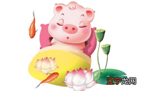 生肖猪2018年全年运势属猪人狗,少有坎坷,得【太阳】