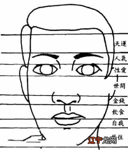 两眉双飞入鬓两颧斜插还有更多的面相术语吗？