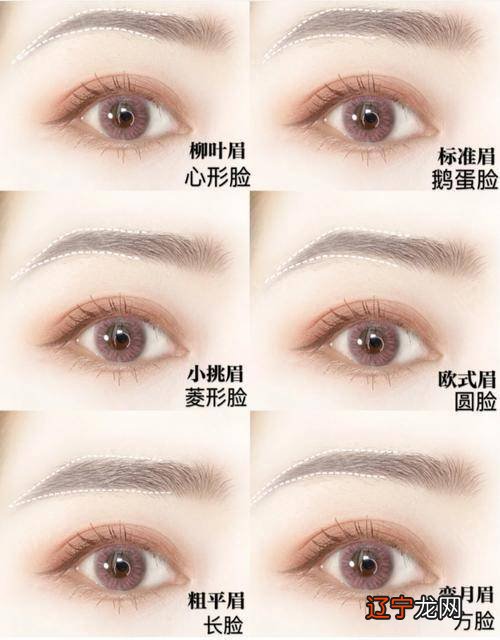 两眉双飞入鬓两颧斜插还有更多的面相术语吗？