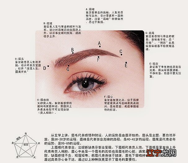 两眉双飞入鬓两颧斜插还有更多的面相术语吗?
