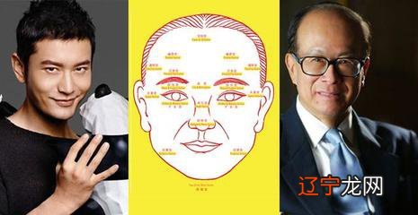 两眉双飞入鬓两颧斜插还有更多的面相术语吗?