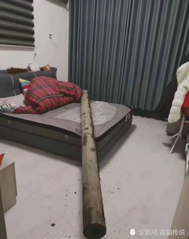 搜狐风水堂：床头朝向是厕所不吉