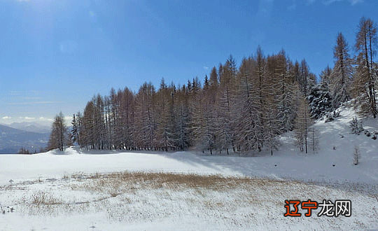 2020年10月女孩起名大全