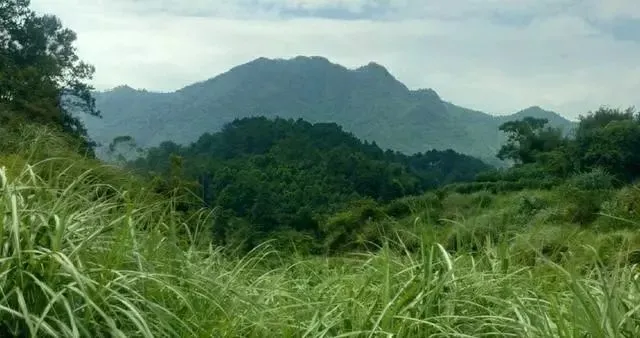 标准化风水正本清源风水堂:标准化泄天机