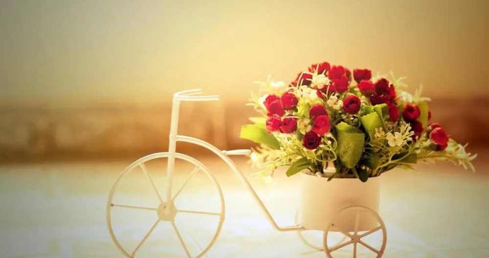 一个与水瓶座作为12星座中最具创造性的两个星座