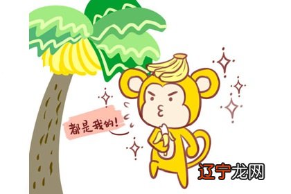 属猴的人和什么属相冲?的话的生肖相冲