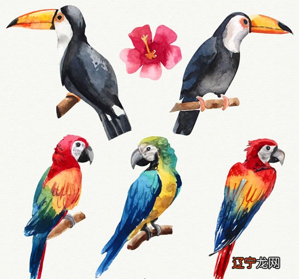 生活小人多属猪人,影响家中气运的3大生肖