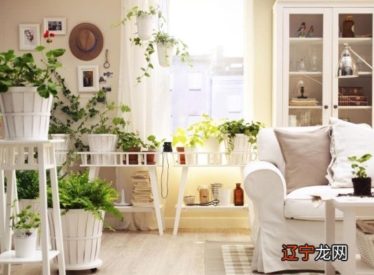 刘东亮风水禅观_怎样观风水_风水学观香