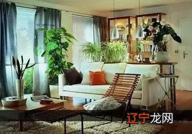 风水学观香_刘东亮风水禅观_怎样观风水