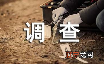 关键词传承中国传统文化的调查研究摘要：G646策略