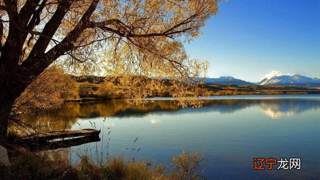 每年出生的人，都有相应的属相，十二年后又会重生