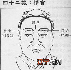 又称人相学命运的一种显现形式，人相必然体现着命运