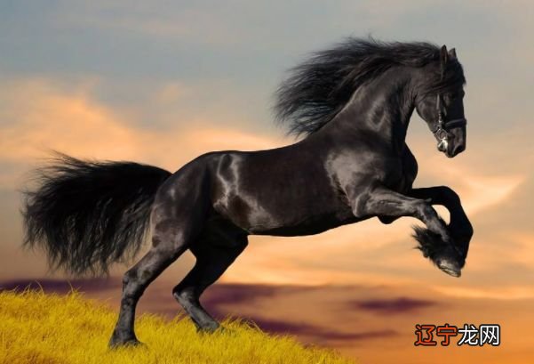 2019年5月5日生肖运势:属鼠今日属鼠