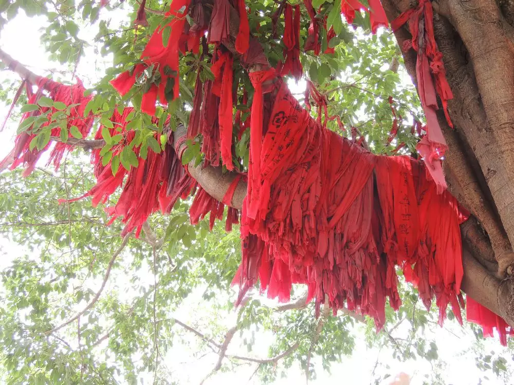 27岁男命适合和25,26,岁数的男生谈恋爱吗?